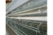 9LCDr-3168 Hot Galvanized Automatic H-type Broiler Chicken Cage