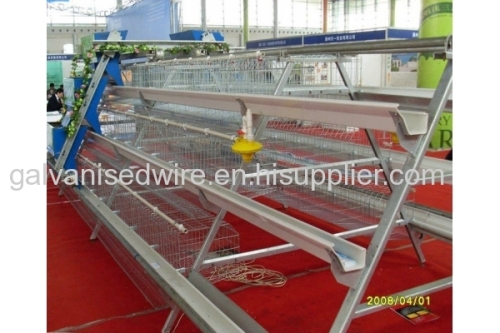 3 layers 3 layers automatic chicken cage/battery cage laying hens