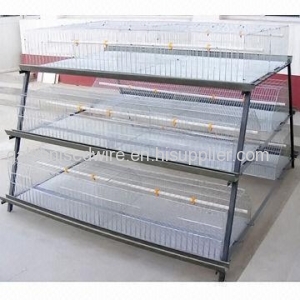 automatic chicken cage/battery cage laying hens