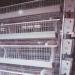 2013 Hot sale !Professional High quality egg chicken cage (here)