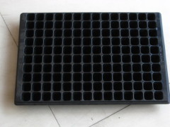 PS Foam Plastic Punnet Tray Making Machine For Food Packing