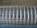 galvanized/PVC coated welded wire mesh