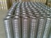High quality products galvanized welded wire mesh