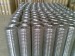 electro galvanized welded wire mesh