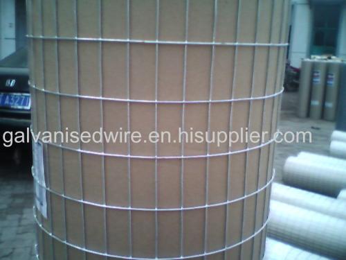 hot dipped galvanized welded wire mesh