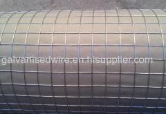 Galvanized Welded Wire Mesh(Direct Factory)