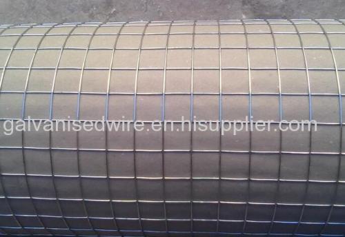 Galvanized Welded Wire Mesh(Direct Factory)