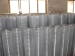 Galvanized mesh welded wire mesh used for chicken fencing