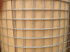 Galvanized mesh welded wire mesh used for chicken fencing