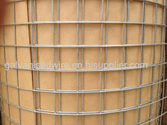 Galvanized mesh welded wire mesh used for chicken fencing