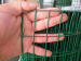 Galvanized Welded Wire Mesh + PVC Coated Welded Wire Mesh