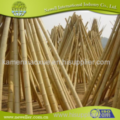 Bamboo Pole for Plant