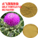 Milk Thistle Extract powder silymarin 80%