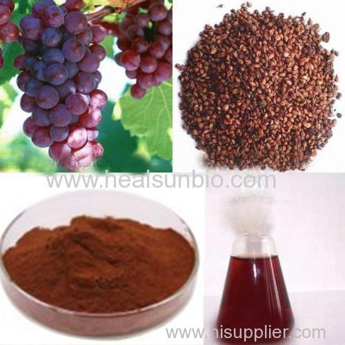 Grape Seed Extract Powder OPC95% UV