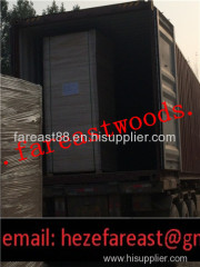 paulownia timber for decorative materials / paulownia plank