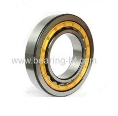 Steel / Brass Cage Cylindrical Roller Bearing