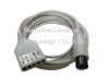 Goldway Trunk Cable Cable