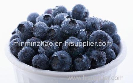 Organic instant blueberry fruit powder