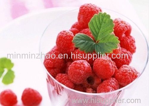 Natural organic raspberry fruit powder