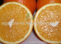 Navel Orange Egg Shape