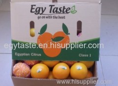 Navel Orange Egg Shape