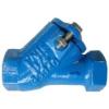 DN25-DN80 cast iron GG25 threaded ball check valve for pump