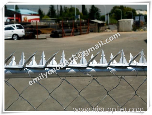 bird spikes for sale.roof spikes for birds.stainless steel pigeon spikes