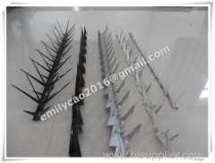 stainless steel pigeon spikes.hot dipped bird spikes.wall spike