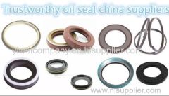 Xingtai Ywei Mechanical Seal Technology Co.,Ltd