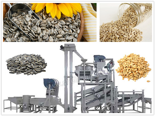 Sunflower Seeds Hulling Machine