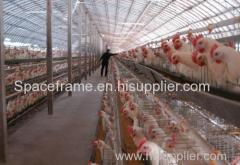 factory cheap galvanized steel truss structure chicken coops