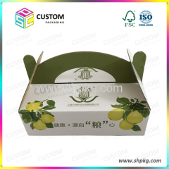 Fruit and vegetable packing carton box