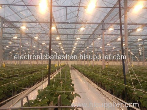 10+ years factory directly supply hydroponics digital electronic ballast 1000w 