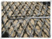 Razor Barbed Wire Mesh Fence Panel