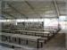 Beer Festival PVC Clear Span Tents Waterproof Marquee Hire 20x50M 1000 Sqm