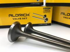 ALDRICH FOR CG125 VALVE SET