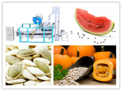 Melon Seeds Shelling Machine