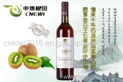 FREE SAMPLE Jin Zhuxia kiwi fruit wine 750ml 12%vol
