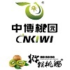 Zhongbo Green Technology Co.,Ltd