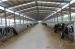 steel structure building prefab poultry house horse stables cow shed