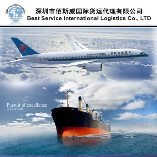Logistics Service for Custom Declaration/Custom Clearance/Documentation