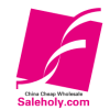 Saleholy Electronics Technology International Trade Co. Ltd