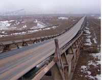 China Industrial Cold Resistant Conveyor Belt