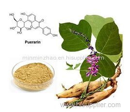 Kudzu Extract with Puerarin