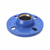 Quick Flange Adaptor for PVC/HDPE Pipe