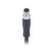 M8 Cable Plug 6 Poles A Coding Male Connector Molded with PUR Cable