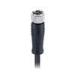 Cableforce M8 Cable Plug Female 4 Poles A Coding Connector Molded with PUR Cable