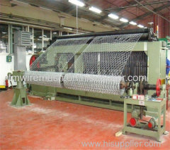 Model Is Complete Galvanized Hexagonal Wire Netting