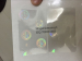 FL Florida state ID overlay hologram sticker Fla