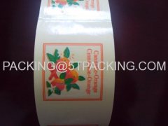 Transparent Cannelle Orange Cosmetic Bottle Labels in Rolls